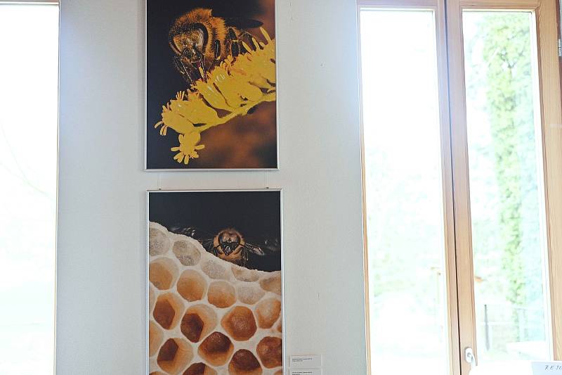 Z vernisáže výstavy fotografky a spisovatelky Veroniky Souralové Kouzlo včelí říše.