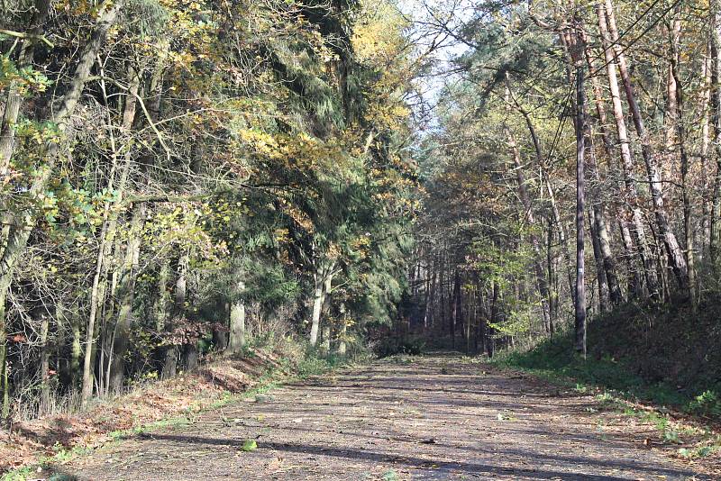 Vichřice, která vtrhla do Čech zasáhla i Benešovsko.