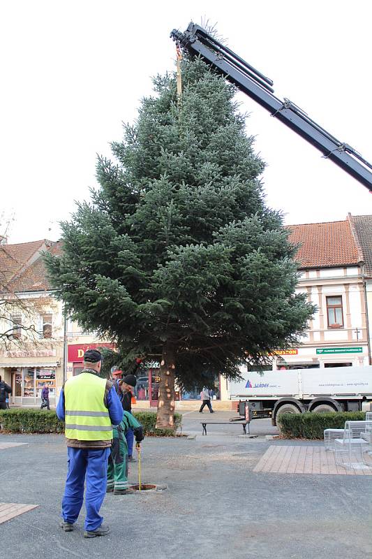 Transport a instalace vánočního stromu na Masarykovo náměstí.