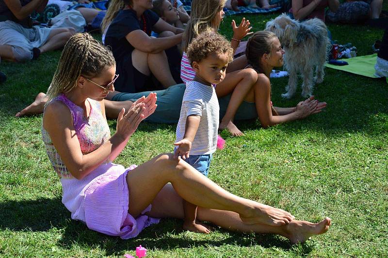 Z reggae festivalu na louňovickém zámku.