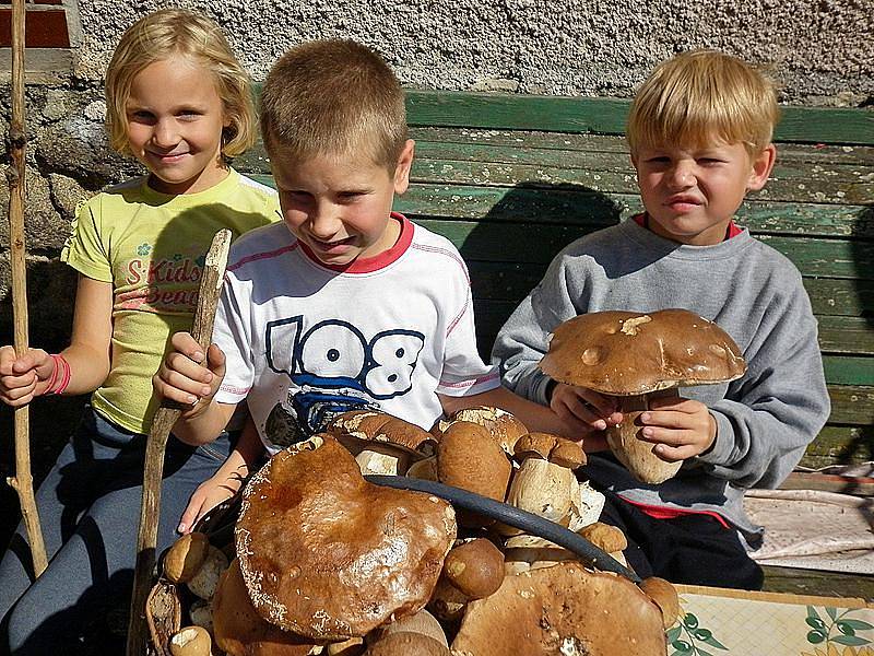 Děti se pochlubily úlovky dubáků, které nasbíraly na Neveklovsku.