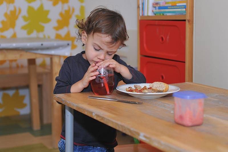 Při sázavském Restaurant Day mohli přítomní ochutnat různorodé delikatesy.