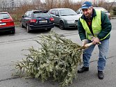 Úklid vánočních stromků vytváří každý rok problémy. 