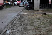 Trávníky a chodníky na benešovském sídlišti Bezručova by měly projít už na jaře obnovou. Snímky dokládají situaci v únoru 2024.