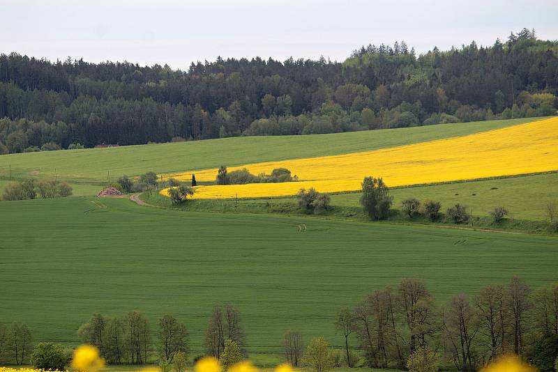 Fotokvíz: poznáte obec na Benešovsku?