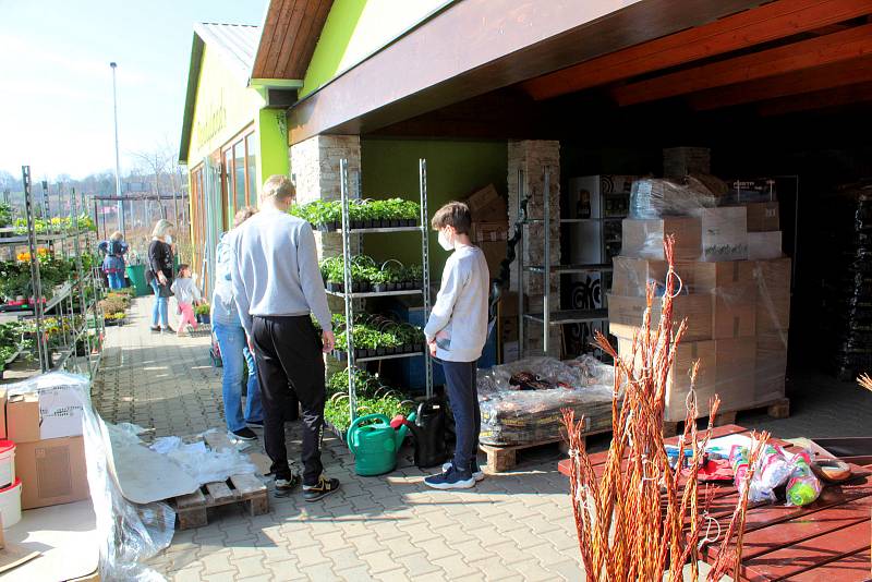 Na Zelený čtvrtek zákazníci vyrazili ve velkém za nákupy - Zahradnictví Dandyland Týnec nad Sázavou.