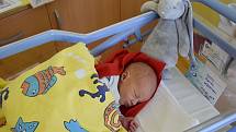 Sebastián Čermák se Nikole a Markovi narodil v benešovské nemocnici 11. listopadu 2022 v 19.16 hodin, vážil 3270 gramů. Bydlištěm rodiny jsou Mariánovice.