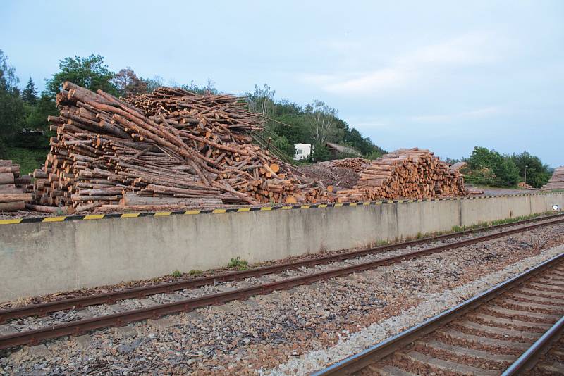 Zásoby dřeva na pile LČR v Peceradech.