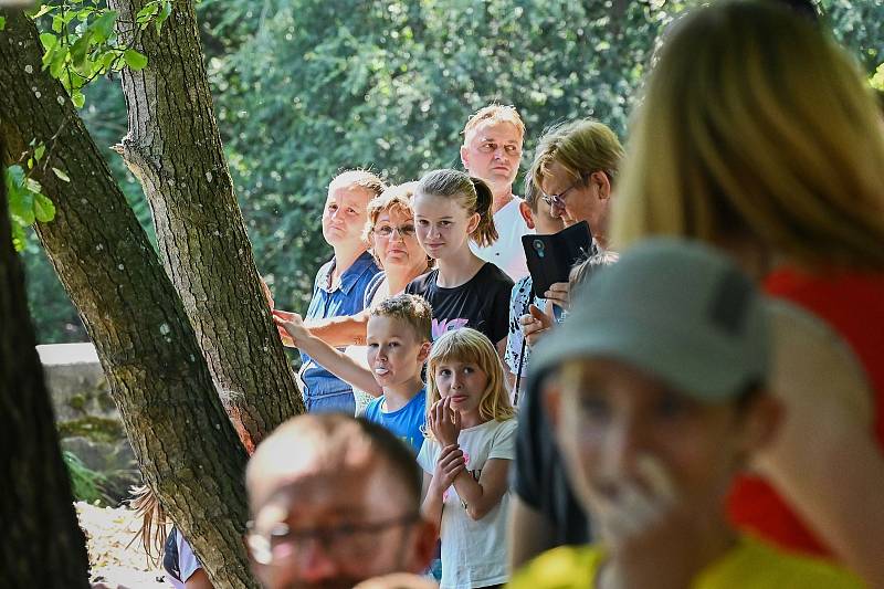 Ze třináctého ročníku Ledové neckyády v Souticích.