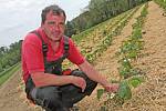 Soukromý zemědělec Martin Perníček na svých pozemcích pěstuje jahody, česnek a brambory.