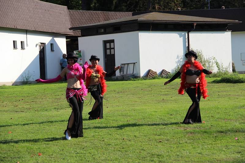 Benefiční festival Open Door Hospital fest se uskutečnil v sobotu v Nové Myslivně na Konopiště.