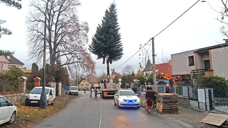 Transport a instalace vánočního stromu na Masarykovo náměstí. Foto: František Fiala