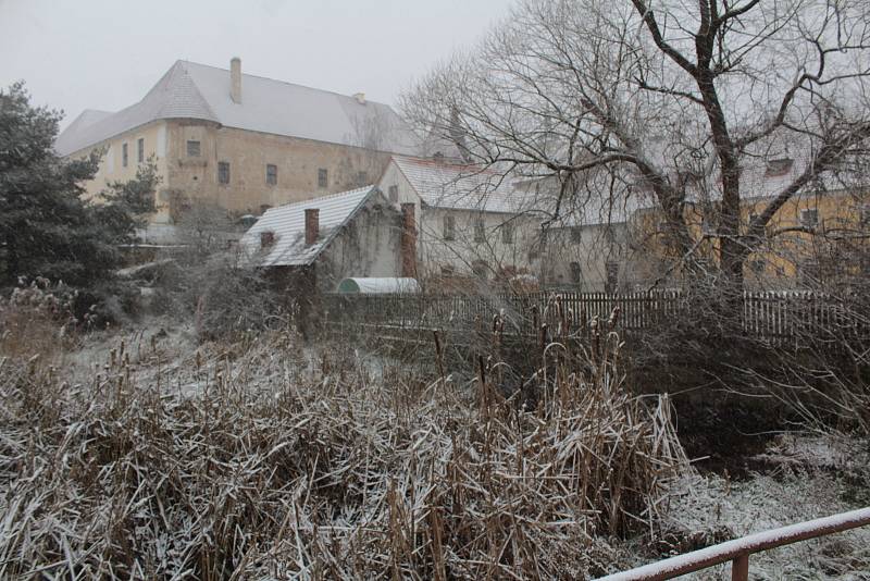 Pivovarský rybník v Louňovicích pod Blaníkem v lednu 2021.