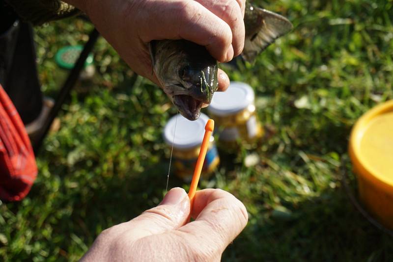 Malí rybáři předvedli, jak nejlépe a nejrychleji dokážou ulovit rybu.