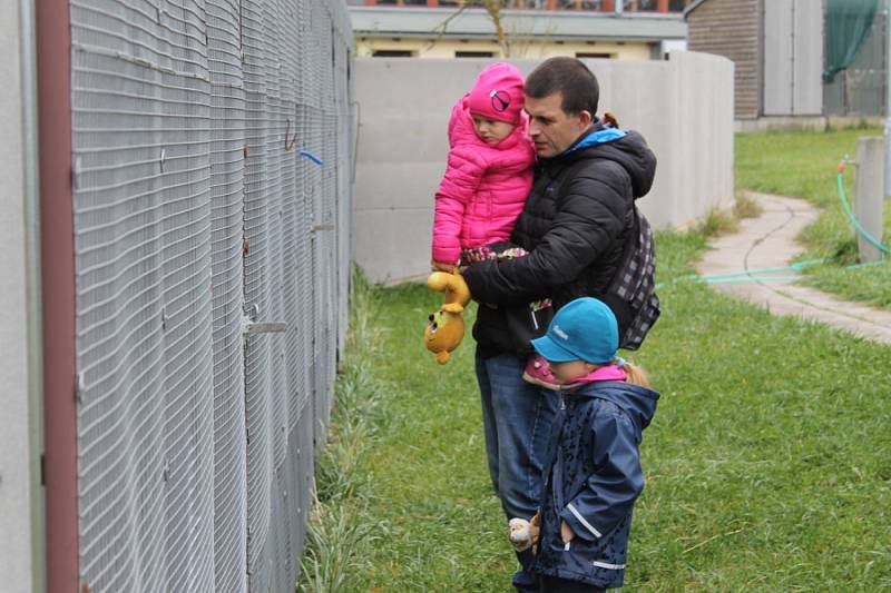 Nemocná zvířata našla domov v záchranné stanici v Pavlovicích.