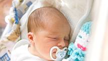 Tadeáš Cenek se narodil v nymburské porodnici 15. července 2021 v 9.00 hodin s váhou 3990 g a mírou 50 cm. Na prvorozeného chlapečka se ve Mcelích těšila maminka Alena a tatínek Martin.