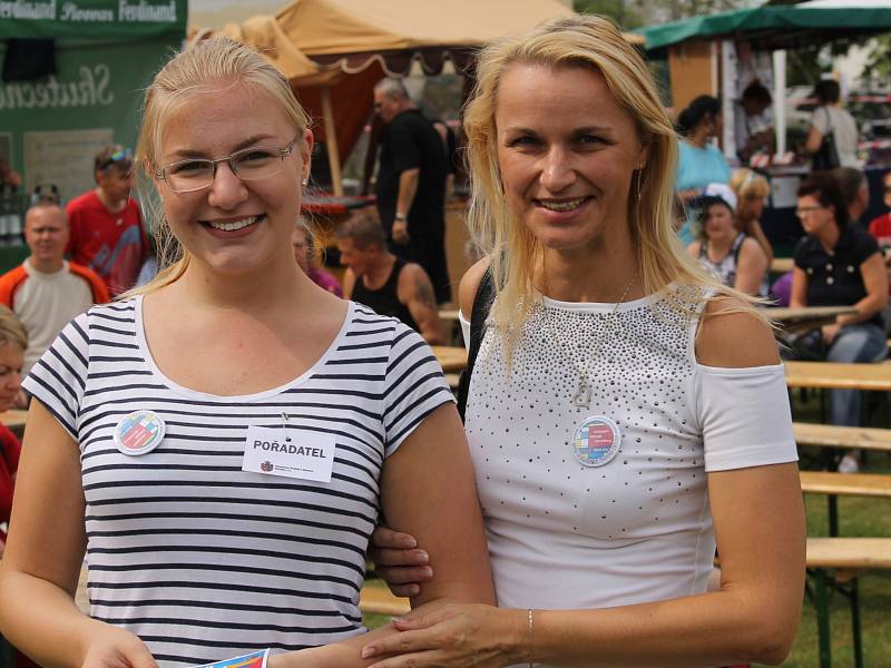 Benefiční festival na podporu dlouhodobě nemocných pacientů benešovské nemocnice Open door hospital fest. 