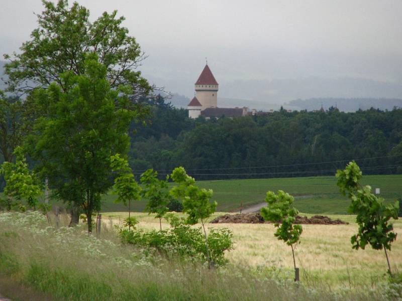 Stromky u Chlístova podél silnice číslo 106.