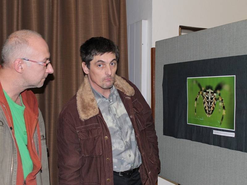 Velká fotografie mouchy byla zároveň i pozvánkou na celou výstavu. 