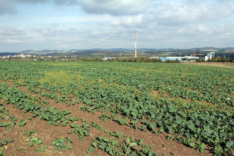 Pole lemované silnicí v Černoleské ulici chce Benešov využít pro vznik překladiště domovního odpadu.