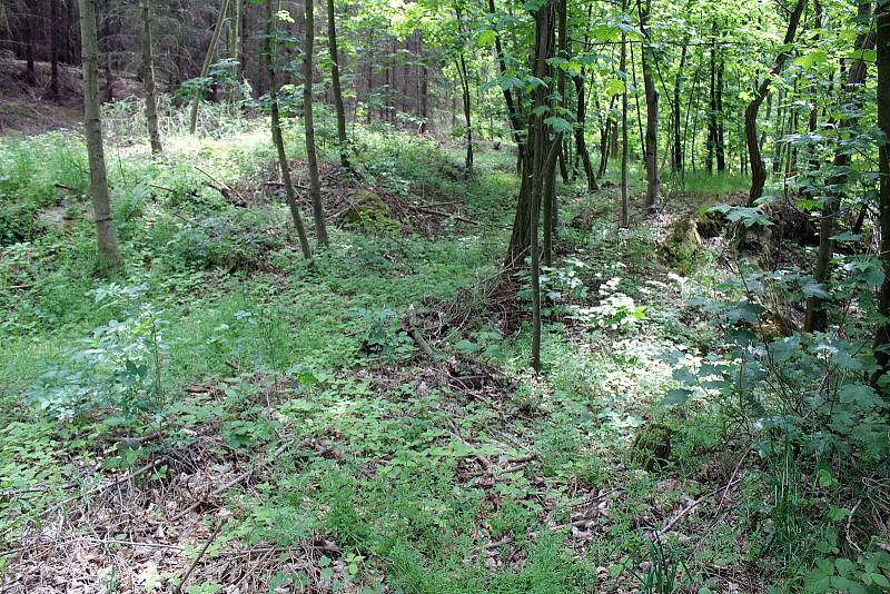 Z lokality na Polském vrchu nad Voticemi.