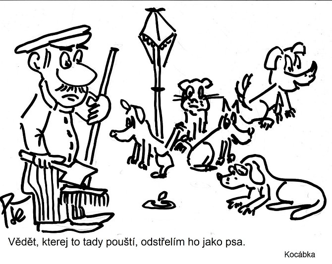 Vaňasova dobrodružství a další příběhy v kresleném humoru Jiřího Cinkeise.