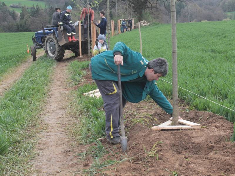 Do výsadby javorové aleje se zapojila celá obec.