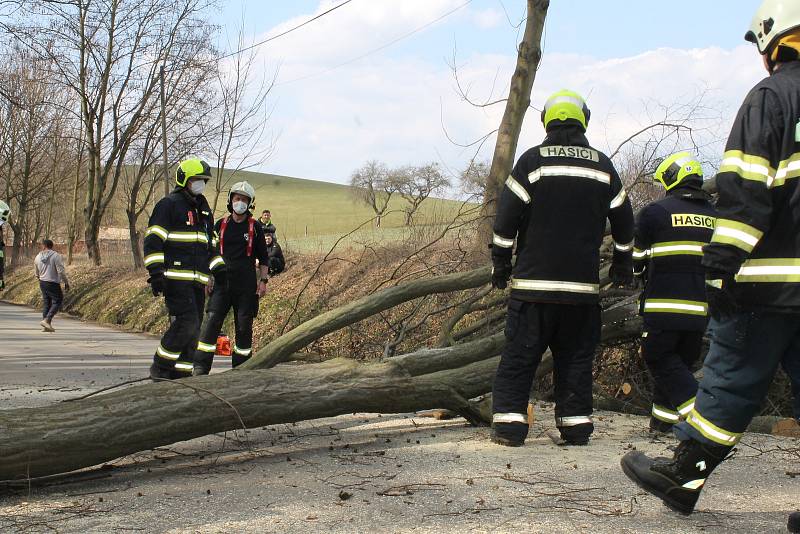 Spadlý strom na silnici mezi Smilkovem a Kouty.