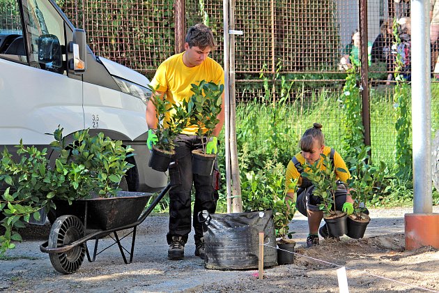 Mladí zahradníci měří své síly v Benešově. Začala soutěž Lipová ratolest