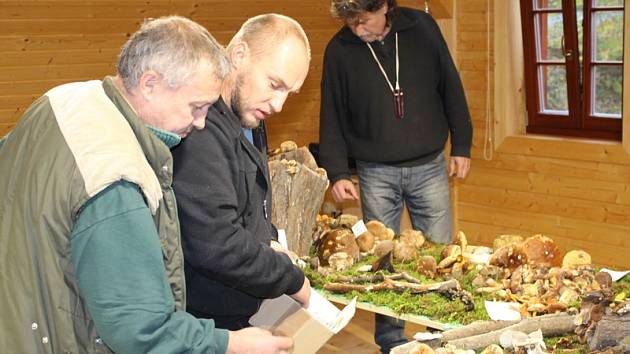 Pro přesné určení druhu houby potřebuje mykolog Pavel Moran (uprostřed) vědět, v jakém prostředí rostla.