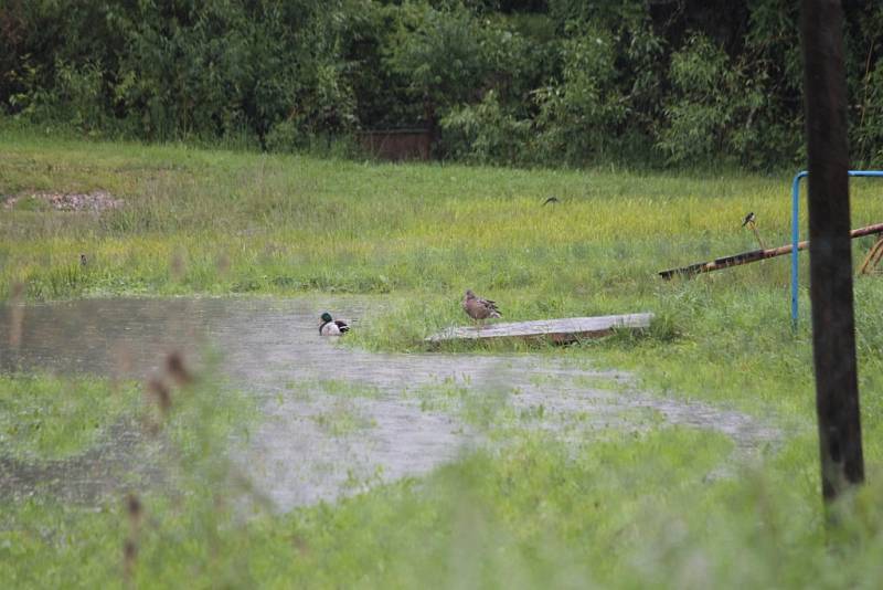 Koupadla v Benešově.