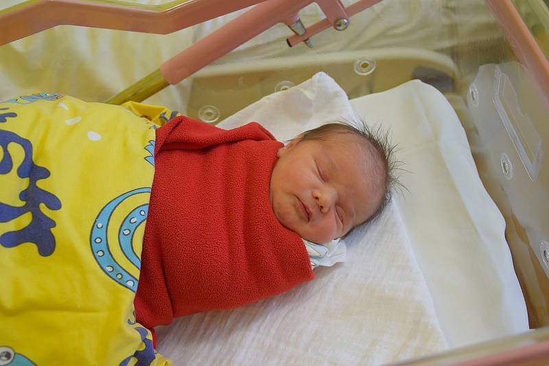 Viktorie Filipová se Michaele Vašákové a Janu Filipovi narodila v benešovské nemocnici 4. února 2022 ve 12.40 hodin, vážila 3700 gramů. Bydlištěm rodiny jsou Přestavlky u Čerčan.