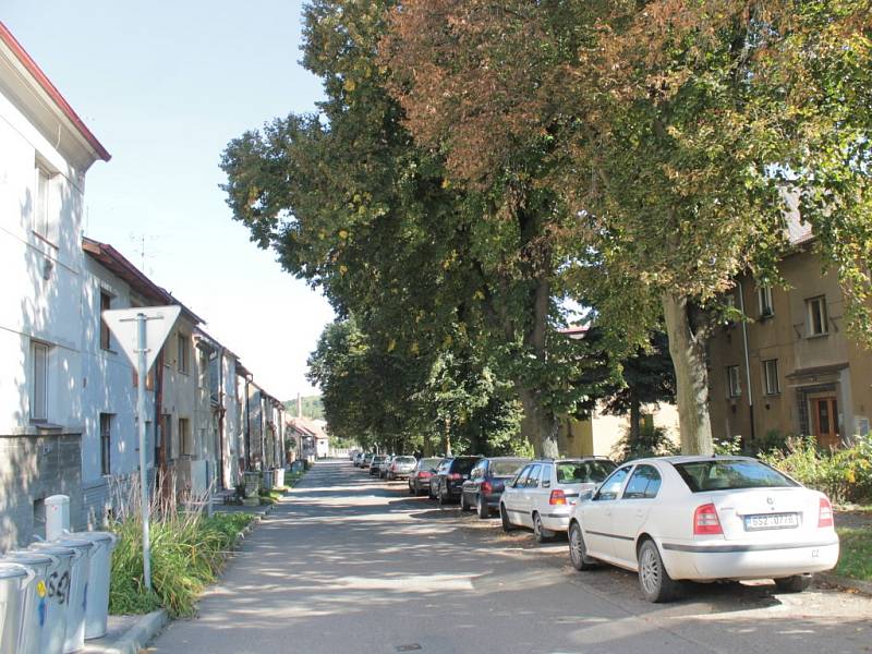 Alej v benešovské ulici Na Spořilově.