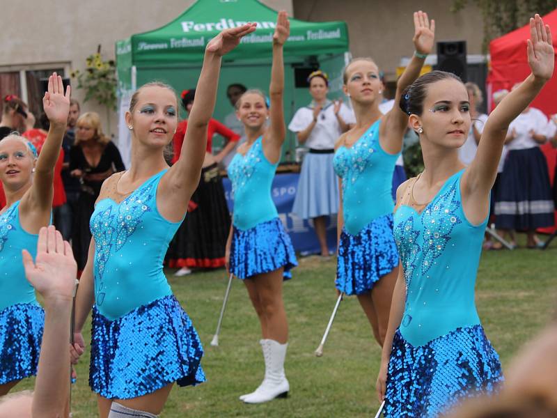 Benefiční festival na podporu dlouhodobě nemocných pacientů benešovské nemocnice Open door hospital fest. 