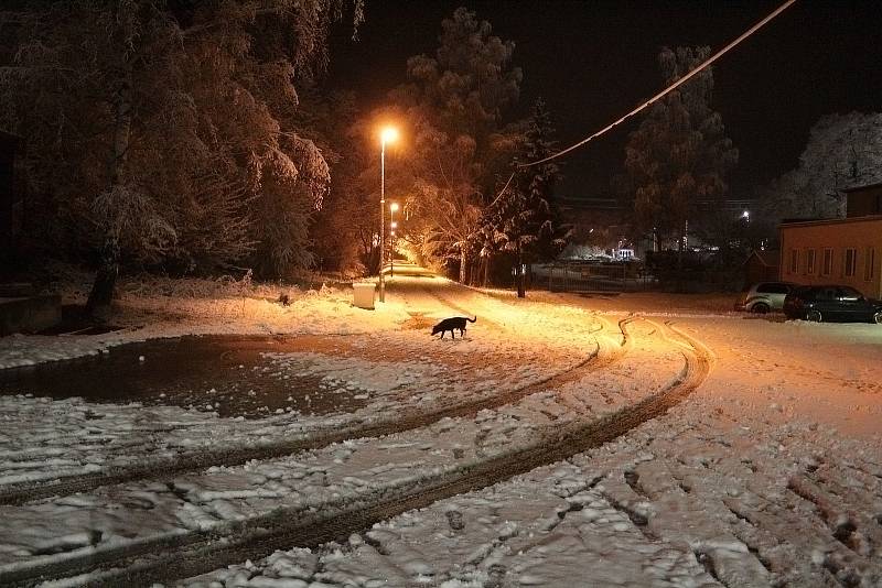 Zasněžený Týnec nad Sázavou ve čtvrtek 7. ledna 2021 ráno.