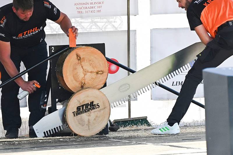 Z dřevorubecké soutěže Stihl Timbersports v zámeckém parku ve Vlašimi.