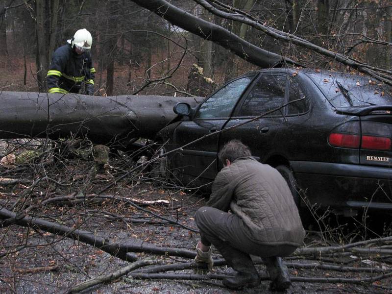 Na projíždějící osobní automobil spadl strom. Řidič vyvázl bez zranění