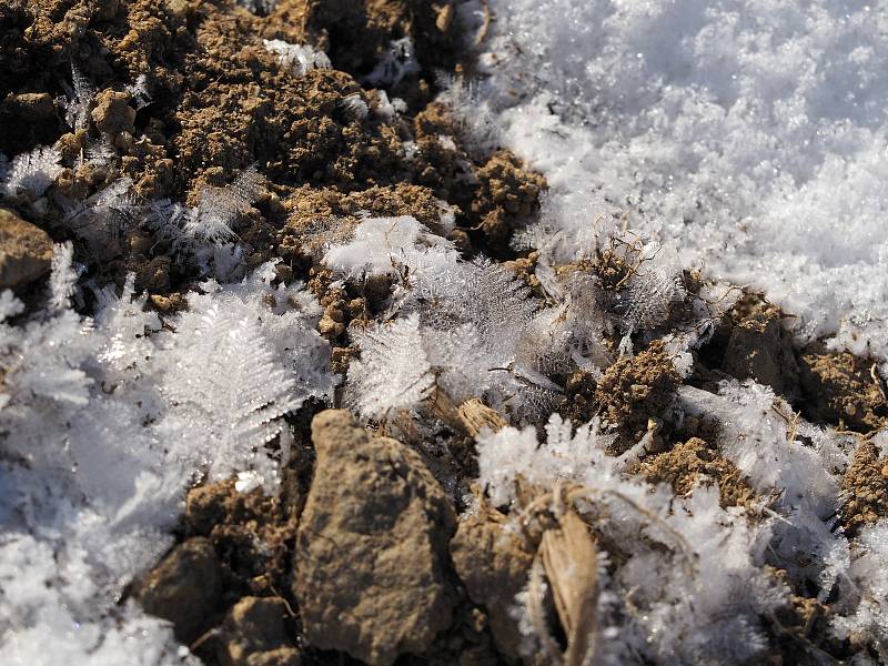 Poslední skutečně mrazivý den letošní zimy, kdy bylo nějakých -18°C, zvěčnila naše čtenářka Káča Skalská.