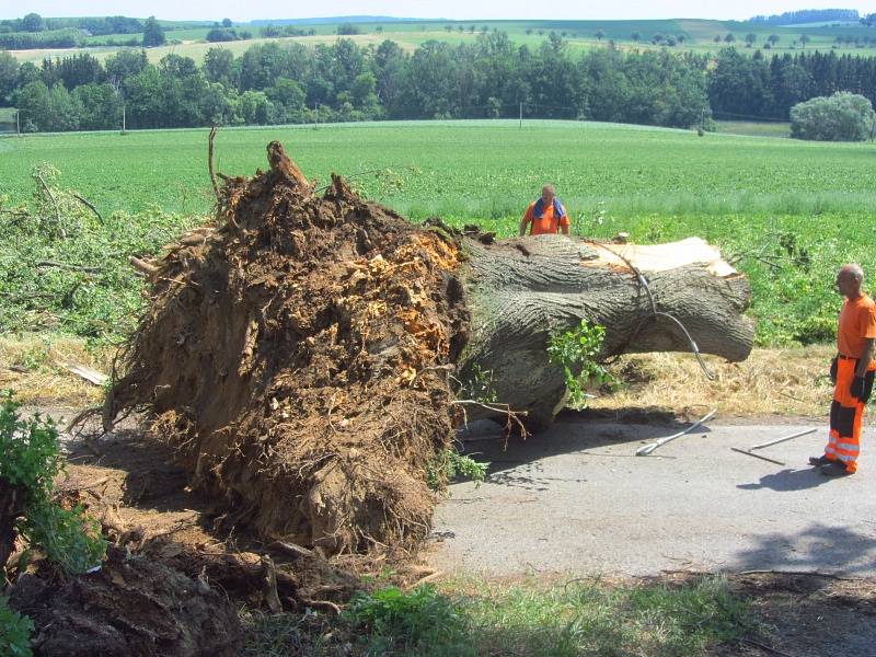 Následky bouřky, která Borovnici zasáhla v pondělí 1. července 2019.