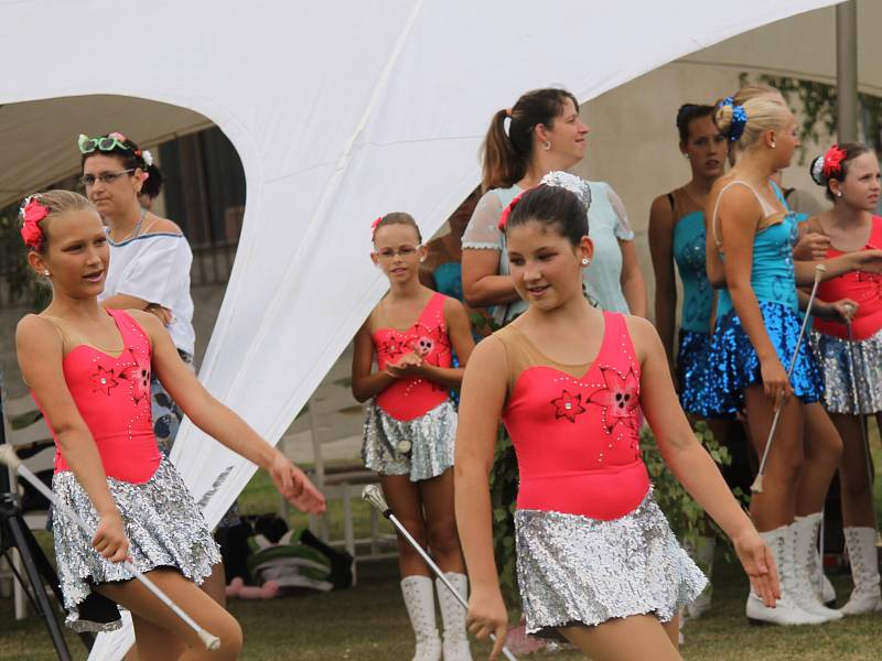 Benefiční festival na podporu dlouhodobě nemocných pacientů benešovské nemocnice Open door hospital fest. 