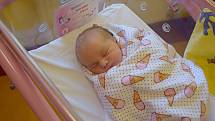 Dariia Voznichka se rodičům Marii a Dmytro narodila v benešovské nemocnici 8. dubna 2022 v 18.43 hodin, vážila 3400 gramů. Rodina bydlí v Osečanech.