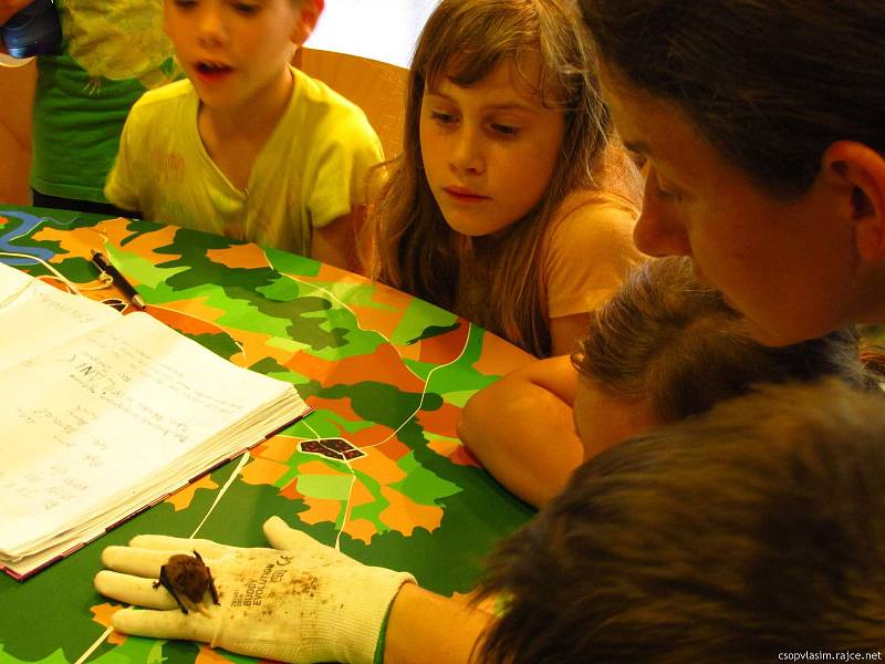 Malí táborníci si s ochránci přírody užili různorodý program.