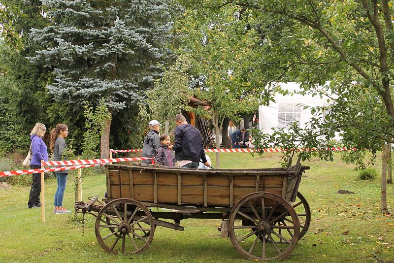 Melounová slavnost se konala v zahradě Spolkového domu sourozenců Roškotových na Palackého náměstí.