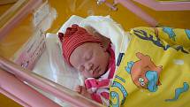 Glorie Kubálková se Haně a Petrovi narodila v benešovské nemocnici 16. května 2022 v 0.07 hodin, vážila 3820 gramů. Doma ve Střezimíři na něj čekali bratři Ondřej (14) a Vojta (11).