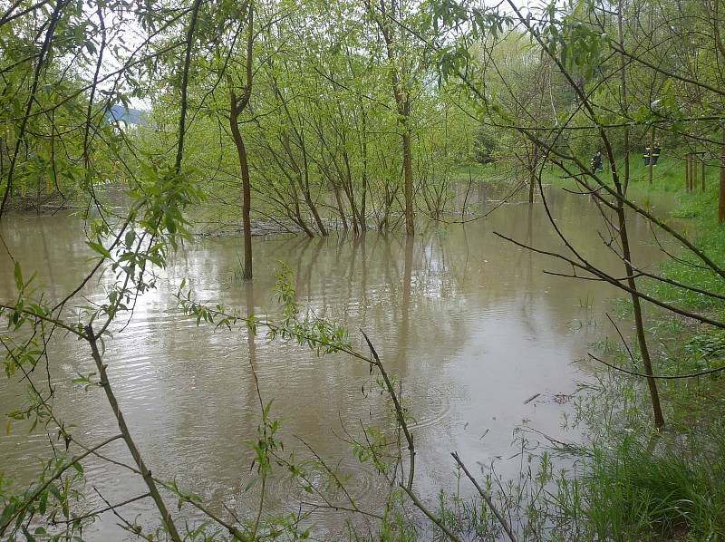 Rozvodněná Blanice ve Vlašimi. v polovině května 2021.