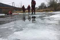 Cvičení benešovských profesionálních hasičů na zamrzlé hladině Sázavy.