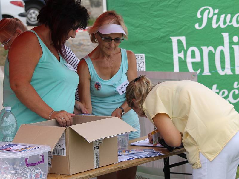 Benefiční festival na podporu dlouhodobě nemocných pacientů benešovské nemocnice Open door hospital fest. 