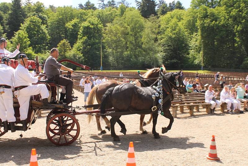 Hasičský den v Konopišti si přítomní užili různorodě. Sledovat mohli soutěžení hasičských sborů či vystoupení nejkrásnějších hasiček.