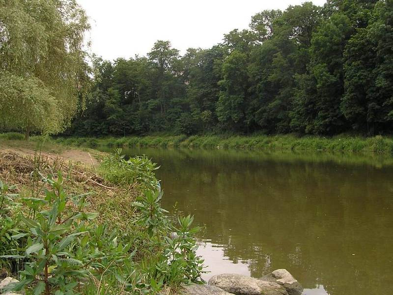 Vodácké tábořiště v Náklí  (Týnec nad Sázavou)