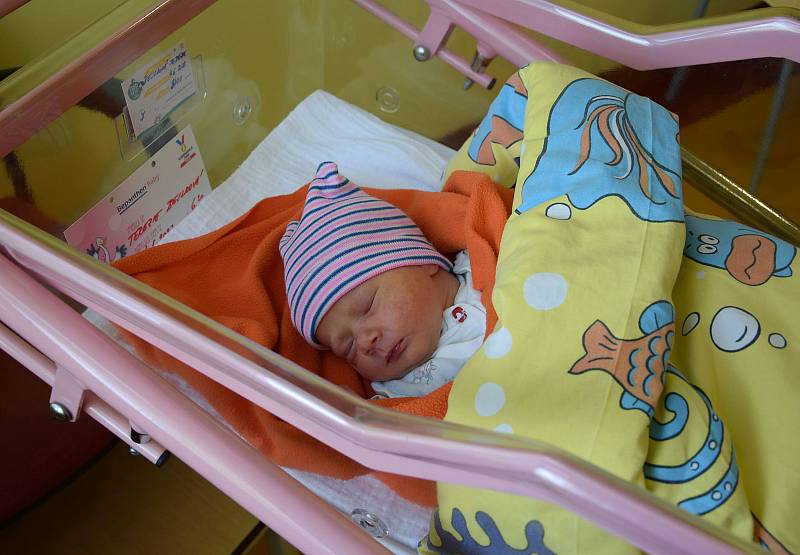 Terezie Bejlková se Pavle a Martinovi narodila v benešovské nemocnici 4. června 2022 v 6.20 hodin, vážila 3400 gramů. Bydlištěm rodiny je Kaliště u Votic.